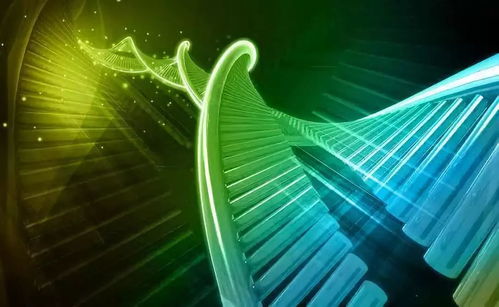 溫州生材所聯合上海交大、浙大成立研發中心，生物基材料技術助力阿爾茨海默癥治療