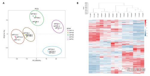 基迪奧植物廣靶代謝組學技術驅動生物基材料創新，助推單組學研究登頂頂尖期刊